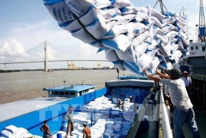 Xuất khẩu gạo 9 th&aacute;ng năm 2023 tăng cả lượng v&agrave; kim ngạch
