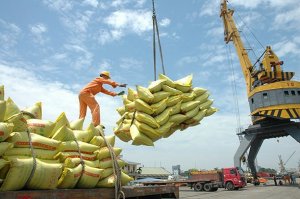 Xuất khẩu gạo 11 th&aacute;ng năm 2022 thu về tr&ecirc;n 3,23 tỷ USD