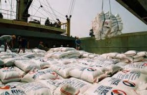 USDA: Dự b&aacute;o cung cầu gạo thế giới ni&ecirc;n vụ 2016/17 