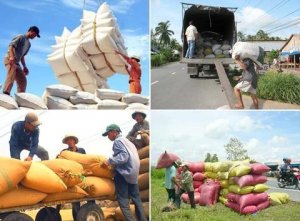 Xuất khẩu gạo 2 th&aacute;ng đầu năm 2020 tăng mạnh