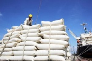Lượng gạo xuất khẩu sang Trung Quốc 4 th&aacute;ng đầu năm 2020 tăng 131%