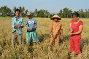 Gấp r&uacute;t quy hoạch nguồn nước ở ĐBSCL 