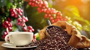 Gi&aacute; c&agrave; ph&ecirc; ng&agrave;y 16/4: Li&ecirc;n tiếp tăng mạnh, robusta đạt mức cao nhất kể từ đầu th&aacute;ng