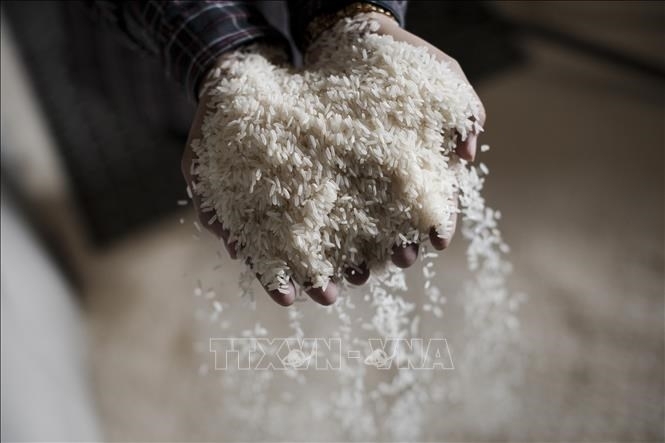 Gi&aacute; gạo to&agrave;n cầu dự kiến tiếp tục giảm do dư d&ocirc;i nguồn cung