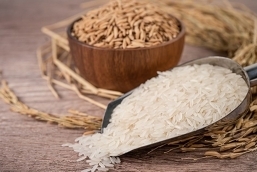 Gi&aacute; l&uacute;a gạo h&ocirc;m nay 20/8: Gạo xuất khẩu tăng l&ecirc;n gần 400 USD/tấn, nội địa giảm nhẹ