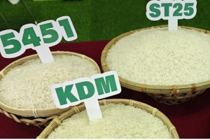 Gi&aacute; l&uacute;a gạo h&ocirc;m 2/4: Trong nước v&agrave; xuất khẩu đồng loạt tăng