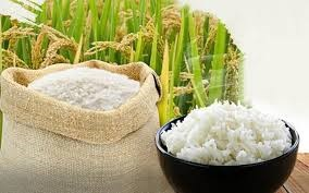 Gi&aacute; l&uacute;a gạo ng&agrave;y 19/10: Thị trường trong nước &iacute;t biến động, gạo xuất khẩu ổn định
