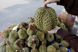 Gi&aacute; sầu ri&ecirc;ng h&ocirc;m 30/9: Ổn định ở mức thấp đối với loại mua x&ocirc;