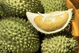 Gi&aacute; sầu ri&ecirc;ng h&ocirc;m 7/10: Ổn định trở lại sau hai ng&agrave;y tăng li&ecirc;n tiếp