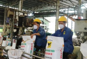 Nhu cầu gia tăng, gi&aacute; ure tại thị trường trong nước tăng r&otilde; rệt