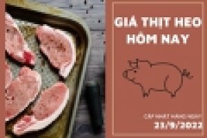 Thị trường heo hơi th&aacute;ng 8/2022: Gi&aacute; thịt heo tăng cao tại nhiều quốc gia