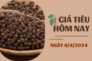 Gi&aacute; ti&ecirc;u h&ocirc;m nay (8/4) duy tr&igrave; ổn định ng&agrave;y đầu tuần