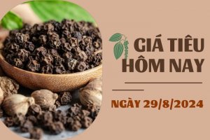 Gi&aacute; ti&ecirc;u h&ocirc;m nay 29/8 tương đối ổn định tại c&aacute;c địa phương