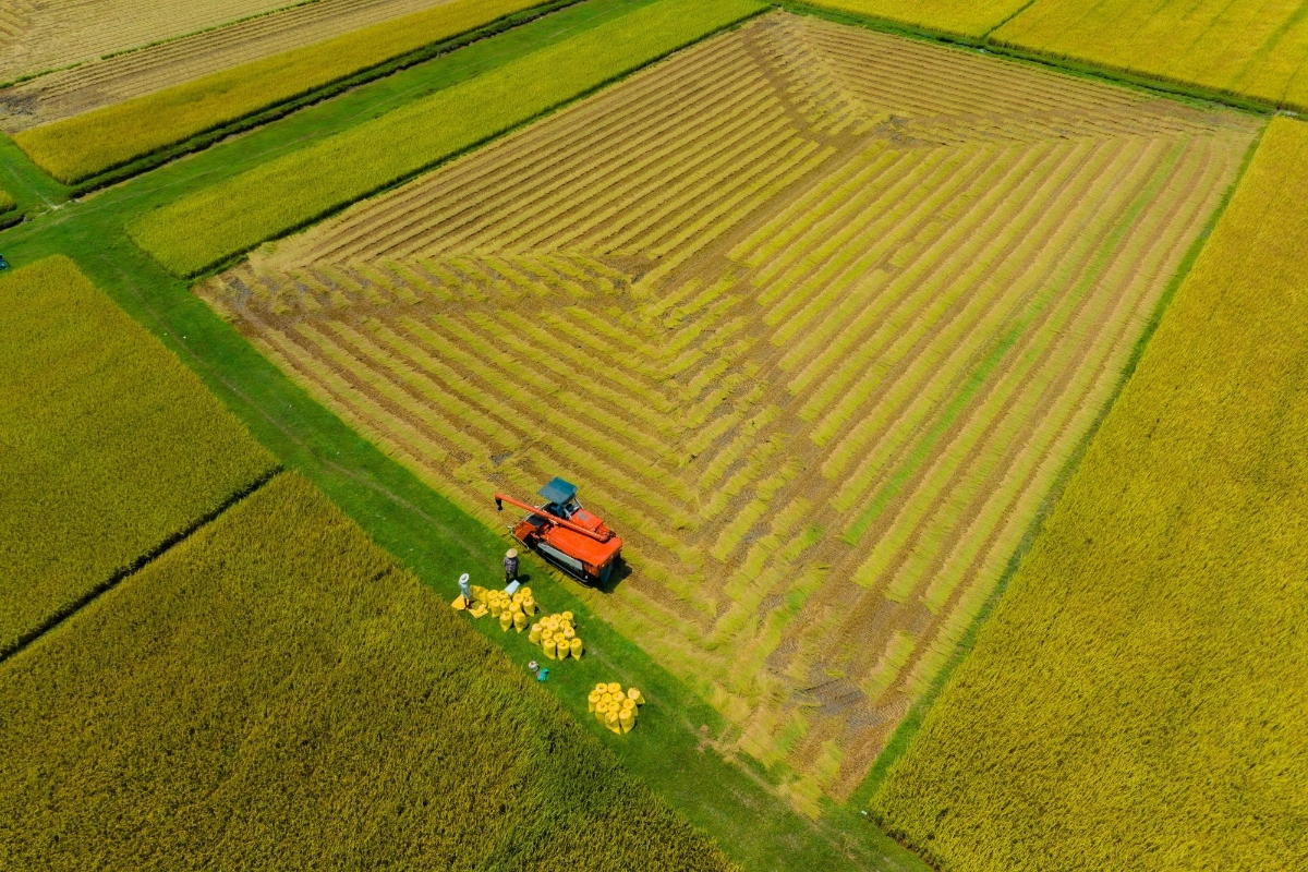 Giải quyết b&agrave;i to&aacute;n đất n&ocirc;ng nghiệp Đồng bằng s&ocirc;ng Cửu Long trước &aacute;p lực kinh tế v&agrave; "c&uacute; sốc" kh&iacute; hậu