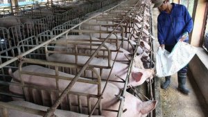 Nhập khẩu nhiều loại n&ocirc;ng sản tăng mạnh
