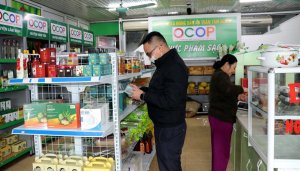 Cần l&agrave;m g&igrave; để OCOP th&agrave;nh sức bật?