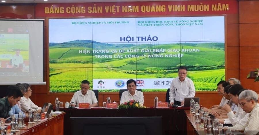 Giao kho&aacute;n đất trong c&ocirc;ng ty n&ocirc;ng nghiệp: Đ&atilde; đến l&uacute;c cần một cơ chế mới 