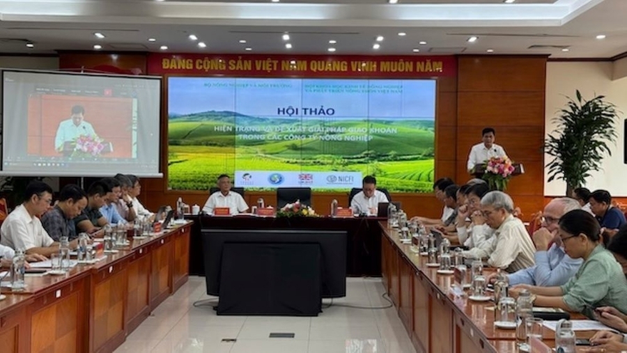 Giao kho&aacute;n đất trong c&ocirc;ng ty n&ocirc;ng nghiệp: Đ&atilde; đến l&uacute;c cần một cơ chế mới