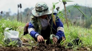 Những th&aacute;ch thức hội nhập của ng&agrave;nh giống 