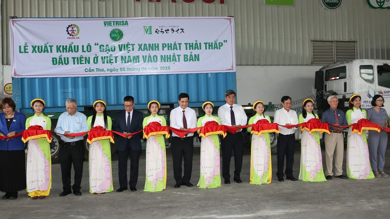 Giữ vững nhịp xuất khẩu gạo bằng chiến lược chất lượng cao