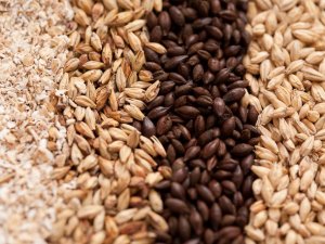 USDA: Tiến độ m&ugrave;a vụ v&agrave; t&igrave;nh h&igrave;nh giao h&agrave;ng ng&ocirc; v&agrave; đậu tương Mỹ