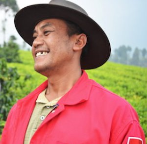 Gi&aacute; giảm đe dọa sinh kế của c&aacute;c nh&agrave; sản xuất ch&egrave; quy m&ocirc; nhỏ 