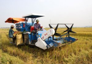 Nghiên cứu giải pháp KHCN phục vụ xây dựng nông thôn mới