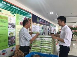 Làm chủ Công nghệ MAP: Vải thiều rộng đường xuất khẩu