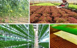 C&aacute;c giải ph&aacute;p c&ocirc;ng nghệ n&ocirc;ng nghiệp tốt nhất sẽ c&oacute; mặt tại Hội nghị Thượng đỉnh GMF lần thứ 6