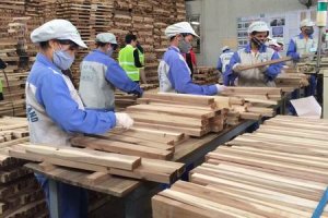Một năm &ldquo;rực rỡ&rdquo; của xuất khẩu n&ocirc;ng sản