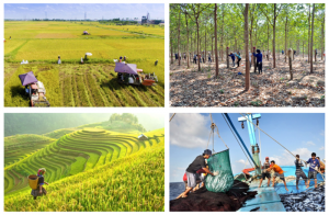 N&ocirc;ng nghiệp th&aacute;ng 5/2024: Chăn nu&ocirc;i v&agrave; thủy sản được gi&aacute;, trồng rừng tăng nhanh