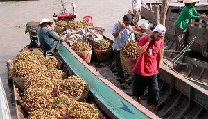 Qu&yacute; 1: N&ocirc;ng l&acirc;m ngư nghiệp xuất si&ecirc;u 1,55 tỷ USD