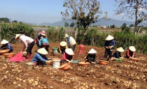 N&ocirc;ng nghiệp ph&aacute;t triển t&iacute;ch cực d&ugrave; nhiều th&aacute;ch thức