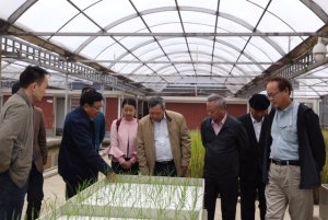 Quản l&yacute; giống c&acirc;y trồng n&ocirc;ng nghiệp, tham khảo từ Trung Quốc