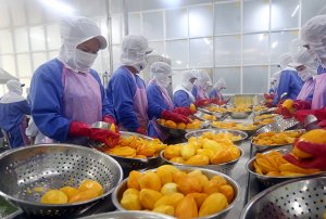 Những điểm s&aacute;ng nổi bật của ng&agrave;nh NN trong năm &ldquo;s&oacute;ng gi&oacute;&rdquo;