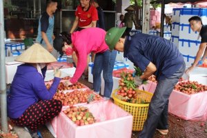 Giải ph&aacute;p n&agrave;o cho xuất khẩu n&ocirc;ng sản