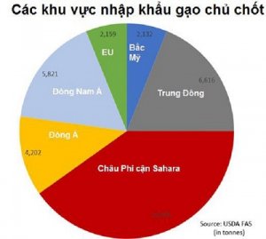 Thị trường gạo từ ch&acirc;u &Aacute; tới ch&acirc;u Phi căng thẳng do chuỗi cung ứng bị gi&aacute;n đoạn v&igrave; Covid-19