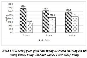 Nghi&ecirc;n cứu x&acirc;y dựng m&ocirc; h&igrave;nh sử dụng thực vật để xử l&yacute; đất nhiễm Asen do hoạt động khai th&aacute;c, chế biến kho&aacute;ng sản