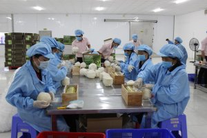 Xuất khẩu rau quả tăng gần gấp đ&ocirc;i ngay trong th&aacute;ng đầu năm