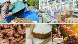 Đ&ograve;n bẩy n&agrave;o cho xuất khẩu n&ocirc;ng nghiệp 2021?