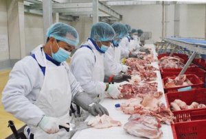 Nh&oacute;m sản phẩm chăn nu&ocirc;i nhập si&ecirc;u gần 3 tỷ USD
