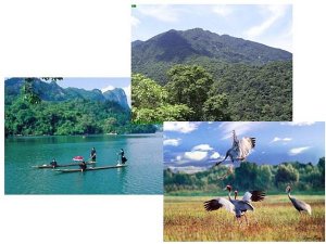 B&aacute;o c&aacute;o đ&aacute;nh gi&aacute; hệ sinh th&aacute;i quốc gia