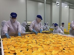 Dự b&aacute;o, xuất khẩu rau quả sẽ khả quan hơn trong những th&aacute;ng cuối năm 2022