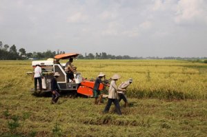 Đối t&aacute;c c&ocirc;ng &ndash; tư trong n&ocirc;ng nghiệp: Vướng mắc cần th&aacute;o gỡ 