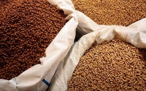 Gi&aacute; nguy&ecirc;n liệu rung lắc li&ecirc;n tục, doanh nghiệp chăn nu&ocirc;i n&ecirc;n ứng biến thế n&agrave;o?