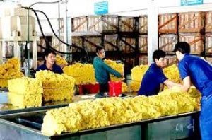 Th&aacute;ng 4, Việt Nam xuất khẩu 63 ngh&igrave;n tấn cao su, đạt 91 triệu USD, tăng 7,6% về lượng nhưng giảm 21,4% gi&aacute; trị so với c&ugrave;ng kỳ