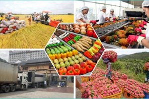 N&ocirc;ng sản Việt Nam trong bối cảnh hội nhập quốc tế: Cơ hội v&agrave; th&aacute;ch thức