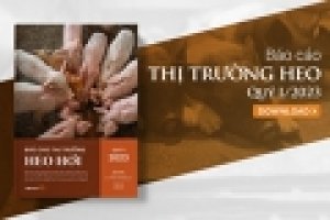 Thị trường heo hơi qu&yacute; I/2023: Dịch ASF diễn biến phức tạp, gi&aacute; thịt heo thế giới tăng