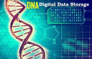 C&ocirc;ng nghệ lưu trữ dữ liệu tr&ecirc;n DNA