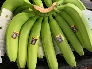 Sản lượng chuối Ch&acirc;u Phi đang bị đe dọa bởi nấm TR4